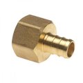 American Imaginations 0.75 in. x 0.5 in. Lead Free Brass Pex Female Adapter AI-35172